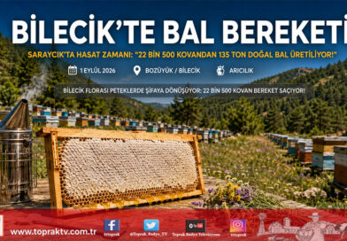 Bilecik’te Arıcılık Bereketi: 22 Bin 500 Kovanda Yılda 135 Ton Bal Üretiliyor!…