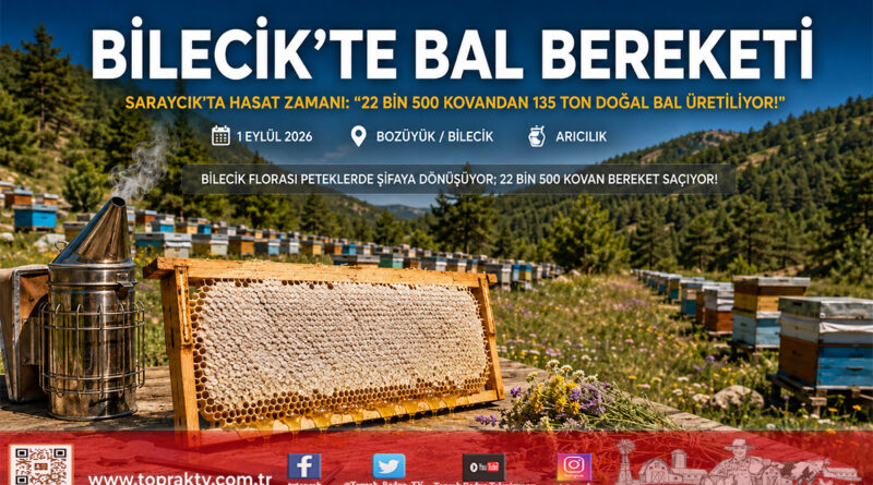 Bilecik’te Arıcılık Bereketi: 22 Bin 500 Kovanda Yılda 135 Ton Bal Üretiliyor!…