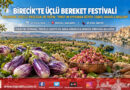 Fırat’ın Kıyısında Üçlü Bereket Buluşması: Birecik’te Kelaynak, Patlıcan Ve Fıstık Festivali Hasatla Başladı!…