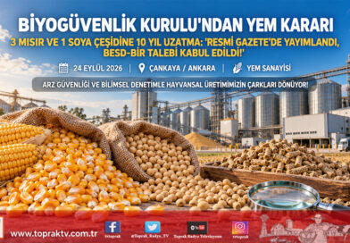 Resmi Gazete’de Yayımlandı: Yem Amaçlı 3 Mısır Ve 1 Soya Çeşidinin İzin Süresi 10 Yıl Uzatıldı!…