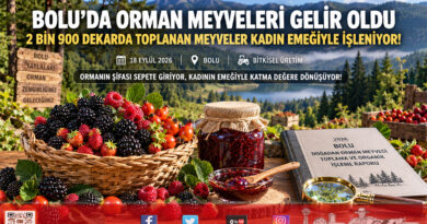 Bolu’da Doğadan Toplanan Orman Meyveleri Kadın Emeğiyle Gelir Kapısına Dönüştü!…