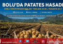 Patates Diyarı Bolu’da Zorlu Söküm Mesaisi Başladı: Tarlada 28 ₺, Tezgâhta 45 ₺!…