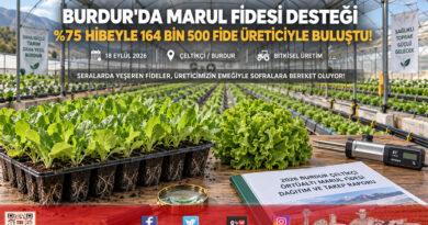 Burdur’da Üreticiye Büyük Destek: %75 Hibeyle 164 Bin 500 Marul Fidesi Toprakla Buluşuyor!…