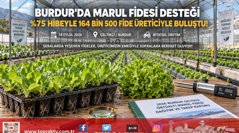 Burdur’da Üreticiye Büyük Destek: %75 Hibeyle 164 Bin 500 Marul Fidesi Toprakla Buluşuyor!…
