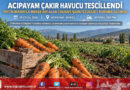 Acıpayam Çakır Havucu Coğrafi İşaretle Tescillendi: Denizli’nin Kadim Tarımsal Değeri Koruma Altında!…