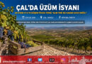 Çal’da Üzüm Üreticisinden Fiyat İsyanı: Geçen Yıl 30 ₺ Olan Üzüm 17 ₺’ye Düştü, Çözüm Kooperatifleşme!…