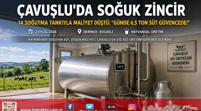 Çavuşlu’da Soğuk Zincir Devrimi: Süt Soğutma Tankları Nakliye Maliyetini Düşürdü, Kaliteyi Zirveye Taşıdı!…