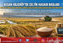 Trakya’nın Beyaz Altınında Büyük Mesai Başladı: Keşan Kılıçköy’de Biçerdöverler Çeltik Tarlalarına Girdi!…