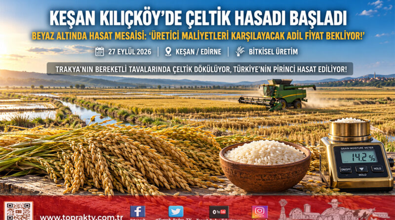 Trakya’nın Beyaz Altınında Büyük Mesai Başladı: Keşan Kılıçköy’de Biçerdöverler Çeltik Tarlalarına Girdi!…