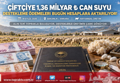 Çiftçinin Hesabına 1,36 Milyar ₺ Can Suyu: Destekleme Ödemeleri Bugün Yatırılıyor!…