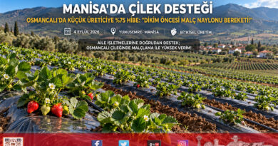 Manisa’da Çilek Üreticisine Yüzde 75 Hibeli Destek: Osmancalı’da Malç Naylonları Dağıtıldı!…