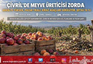 Çivril Meyve Üreticisinden Ortak Feryat: Yüksek Rekolte Pazarsız Kaldı, Kiraz Ağaçları Sökülüyor, Kalıcı Planlama Şart!…
