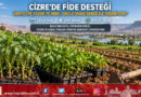 Dicle Havzası’nda Üretime Can Suyu: Cizre’de Çiftçilere Yüzde 75 Hibeli Sebze Fidesi Desteği!…