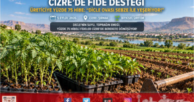 Dicle Havzası’nda Üretime Can Suyu: Cizre’de Çiftçilere Yüzde 75 Hibeli Sebze Fidesi Desteği!…