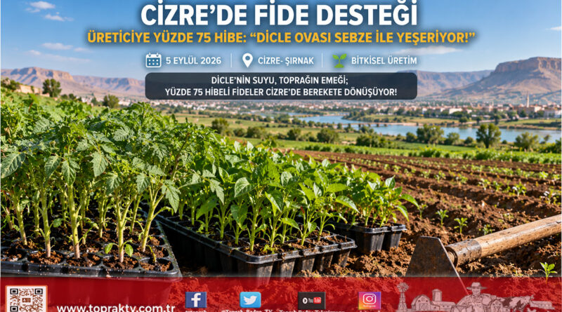 Dicle Havzası’nda Üretime Can Suyu: Cizre’de Çiftçilere Yüzde 75 Hibeli Sebze Fidesi Desteği!…