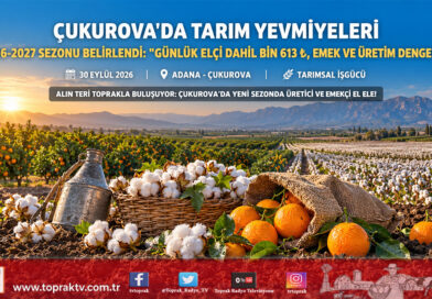 Çukurova’da Tarım İşçisi Yevmiyeleri Belli Oldu: Elçi Payı Dahil Günlük 1.613 ₺ Olarak Karara Bağlandı!…