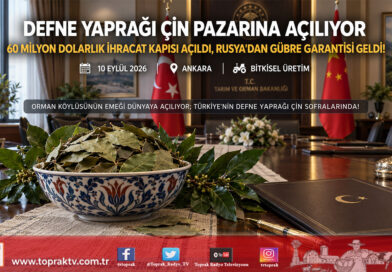 Türkiye ile Çin Arasında Stratejik İhracat İmzası: Defne Yaprağı Çin Pazarına Açılıyor, Kanatlı Eti ve Rusya’dan Gübre Müjdesi Geldi!…