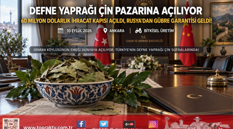 Türkiye ile Çin Arasında Stratejik İhracat İmzası: Defne Yaprağı Çin Pazarına Açılıyor, Kanatlı Eti ve Rusya’dan Gübre Müjdesi Geldi!…