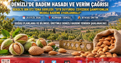 Denizli’de Badem Üretimi İçin Acil Eylem Çağrısı: 6 Bin Tondan Bin 872 Tona Gerileyen Rekolte Masaya Yatırıldı!…