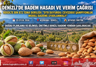 Denizli’de Badem Üretimi İçin Acil Eylem Çağrısı: 6 Bin Tondan Bin 872 Tona Gerileyen Rekolte Masaya Yatırıldı!…