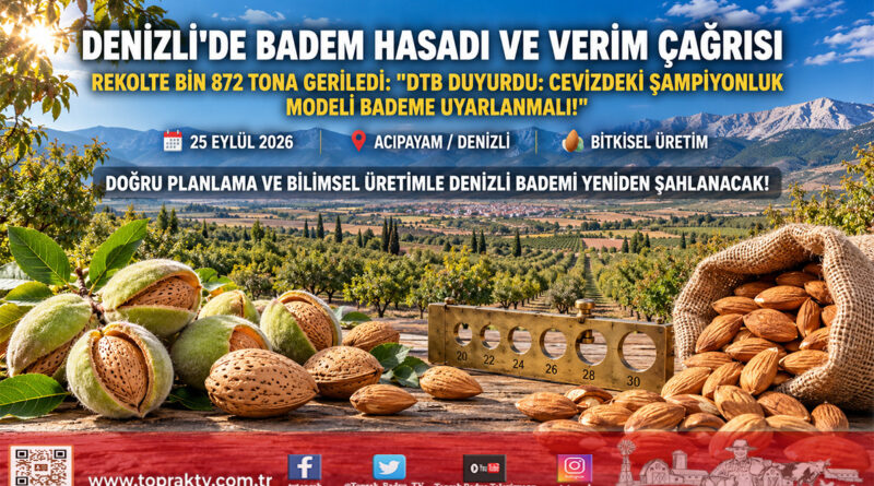 Denizli’de Badem Üretimi İçin Acil Eylem Çağrısı: 6 Bin Tondan Bin 872 Tona Gerileyen Rekolte Masaya Yatırıldı!…
