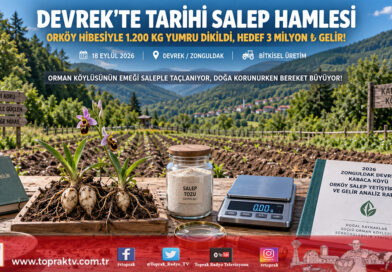 Zonguldak Devrek’te Tarihi ORKÖY Hamlesi: Salep Yetiştiriciliği Orman Köylüsüne 3 Milyon ₺ Gelir Sağlayacak!…