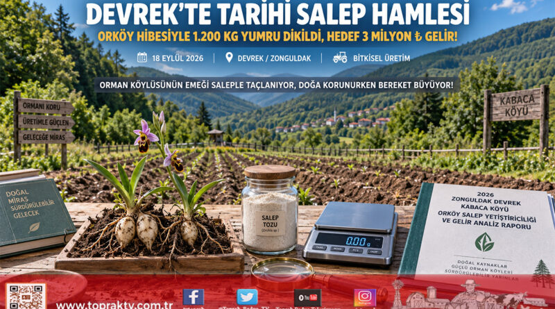 Zonguldak Devrek’te Tarihi ORKÖY Hamlesi: Salep Yetiştiriciliği Orman Köylüsüne 3 Milyon ₺ Gelir Sağlayacak!…