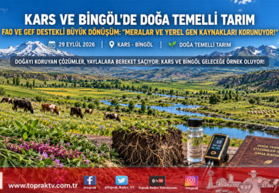 Kars ve Bingöl’de Doğa Temelli Tarım Dönemi: FAO ve GEF Destekli Projeyle Meralar Canlanıyor, Yerel Gen Kaynakları Korunuyor!…