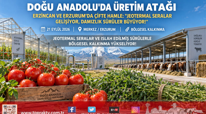 Doğu Anadolu’da Üretim Seferberliği: Erzincan’da Jeotermal Sera, Erzurum’da Ar-Ge Ve Düve Hamlesi!…