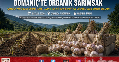 Domaniç Sarımsağı Organik Tarımla Değerleniyor: Çamlıca Köyü Kadın Kooperatifi Üreticilerine Teknik Destek ve Sertifikasyon İncelemesi!…