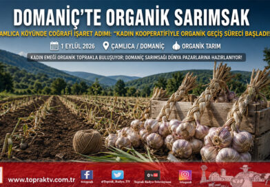 Domaniç Sarımsağı Organik Tarımla Değerleniyor: Çamlıca Köyü Kadın Kooperatifi Üreticilerine Teknik Destek ve Sertifikasyon İncelemesi!…