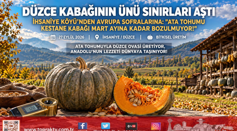 Düzce Kabağının Ünü Ülke Sınırlarını Aştı: İhsaniye Köyü’nden Avrupa Sofralarına Uzanan Ata Tohumu Bereket!…