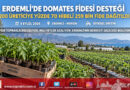 Erdemli’de Domates Üreticisine Yüzde 70 Hibeli Fide Desteği: 259 Bin Fide Toprakla Buluşuyor!…