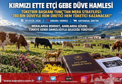 Kırmızı Ette İthal Dana Yerine Gebe Düve Stratejisi: TÜKETBİR Başkanı Tunç’tan 180 Bin Başlık Damızlık ve Mera Açıklaması!…