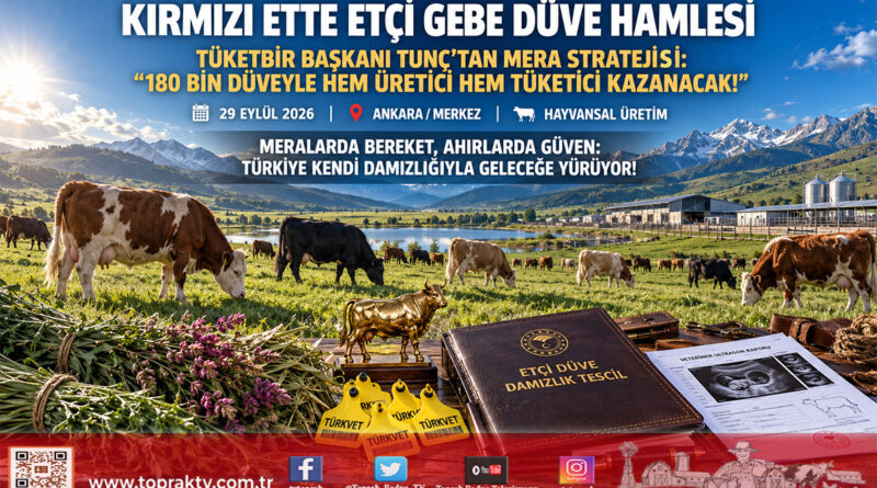 Kırmızı Ette İthal Dana Yerine Gebe Düve Stratejisi: TÜKETBİR Başkanı Tunç’tan 180 Bin Başlık Damızlık ve Mera Açıklaması!…