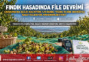 Fındık Hasadında File Devrimi: İşçilik Maliyeti Yüzde 70 Azalıyor, Yüzde 70 Hibe Desteğiyle Yaygınlaşıyor!…