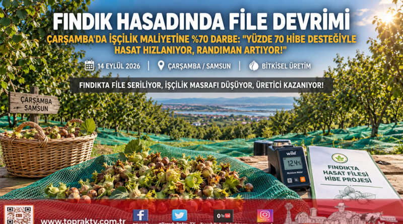Fındık Hasadında File Devrimi: İşçilik Maliyeti Yüzde 70 Azalıyor, Yüzde 70 Hibe Desteğiyle Yaygınlaşıyor!…