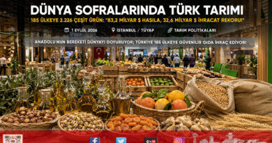 Türkiye’den Küresel Gıda Pazarlarına Dev İhracat Çıkarması: 185 Ülkeye 2 Bin 226 Çeşit Ürünle 32,6 Milyar $ Gelir Sağlandı!…