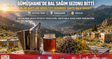 Gümüşhane Yaylalarında Bal Sağımı Sona Erdi: İklim Şartları Rekolteyi Yarı Yarıya Düşürdü!…