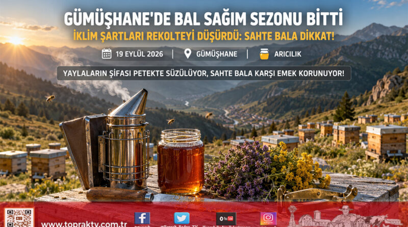 Gümüşhane Yaylalarında Bal Sağımı Sona Erdi: İklim Şartları Rekolteyi Yarı Yarıya Düşürdü!…