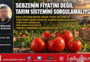 Sebzenin Fiyatını Değil, Tarım Sistemini Sorgulamalıyız…