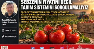 Sebzenin Fiyatını Değil, Tarım Sistemini Sorgulamalıyız…