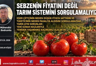 Sebzenin Fiyatını Değil, Tarım Sistemini Sorgulamalıyız…