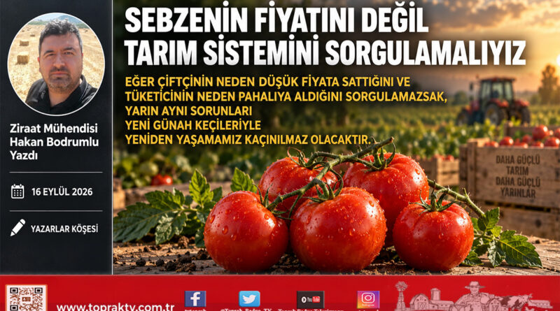 Sebzenin Fiyatını Değil, Tarım Sistemini Sorgulamalıyız…