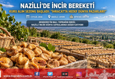 Nazilli’de Sarı Lop Mesaisi Başladı: İncirciler Sitesi’nin Temeli Atıldı, Hedef İhracatta Uzak Doğu ve Amerika!…