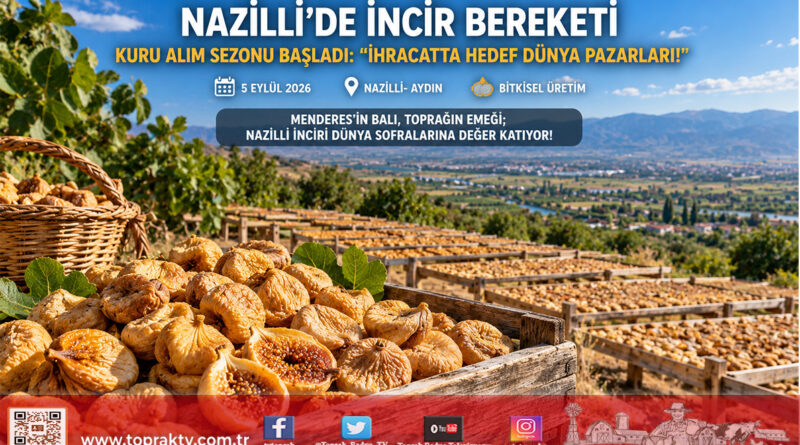 Nazilli’de Sarı Lop Mesaisi Başladı: İncirciler Sitesi’nin Temeli Atıldı, Hedef İhracatta Uzak Doğu ve Amerika!…