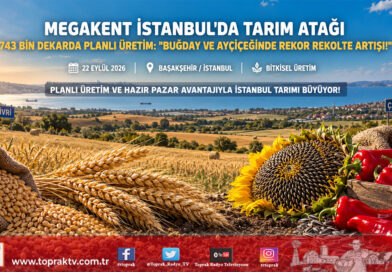 Megakentin Yeşil Gücü: İstanbul’da 743 Bin Dekarda Üretim Planlaması Ve Rekor Rekolte Atağı!…