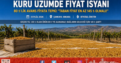 TARİŞ’in Kuru Üzüm Fiyatına Sert Tepki: “Geçen Yıl 120 ₺ Olan Ürün 80 ₺’ye Alınamaz, En Az 145 ₺ Olmalı!”…