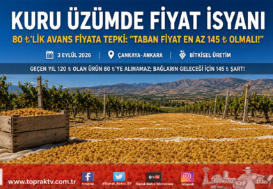 TARİŞ’in Kuru Üzüm Fiyatına Sert Tepki: “Geçen Yıl 120 ₺ Olan Ürün 80 ₺’ye Alınamaz, En Az 145 ₺ Olmalı!”…