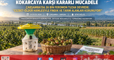 Çarşamba’da Kahverengi Kokarcaya Karşı Topyekun Seferberlik: 26 Bin Feromon Tuzakla “Cezbet-Öldür” Hamlesi!…